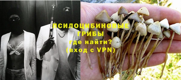 Альфа ПВП Грязовец