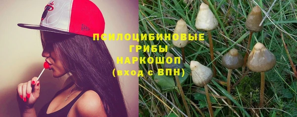 тгк Покровск