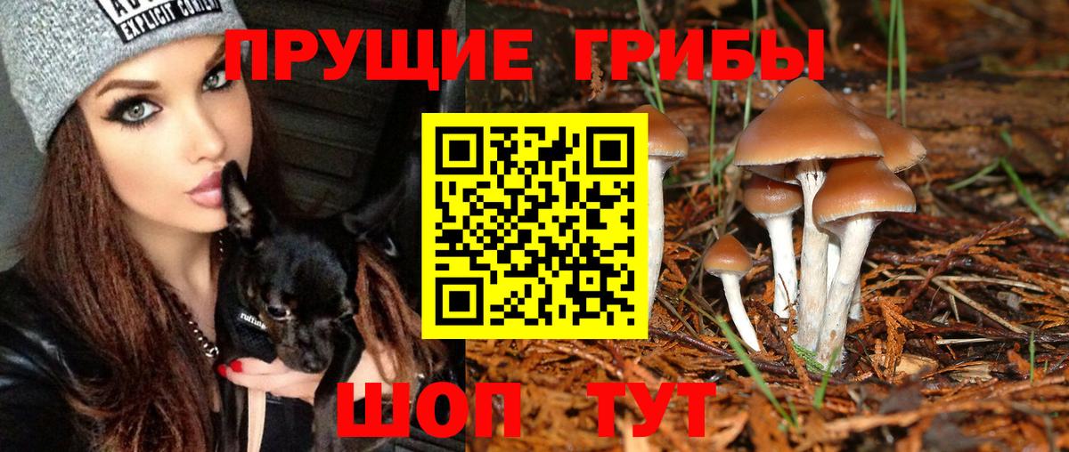 Камышин  Псилоцибиновые грибы MAGIC MUSHROOMS  Вход с VPN  Галлюциногенные грибы прущие грибы 